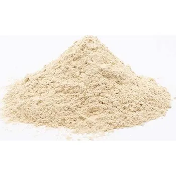 Koření Sušený česnek mletý