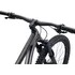 Horské kolo Giant Reign 29" Metal/Black Diamond 2022