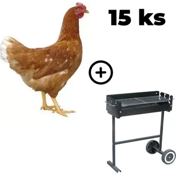 Zahradní gril Hnědá kuřice Dominant 15 ks + zahradní gril TEXAS ZDARMA