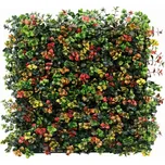 Demeko Trading Leucadendron Multicolor…