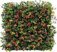 Demeko Trading Leucadendron Multicolor 1 ks 50 x 50 cm