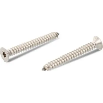 Šroub ISO 14586 A4 C 3,9X60 TX15