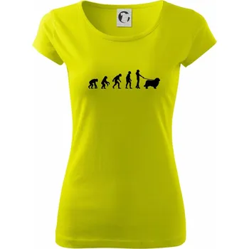 Evoluce pes Novofundlandský pes (muž-žena) - Dámské triko Pure - XL ( Limetková )