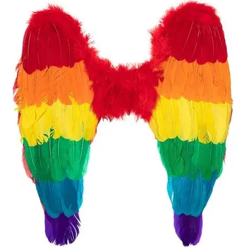 Karnevalový doplněk Funiglobal - Vícebarevná duhová křídla -