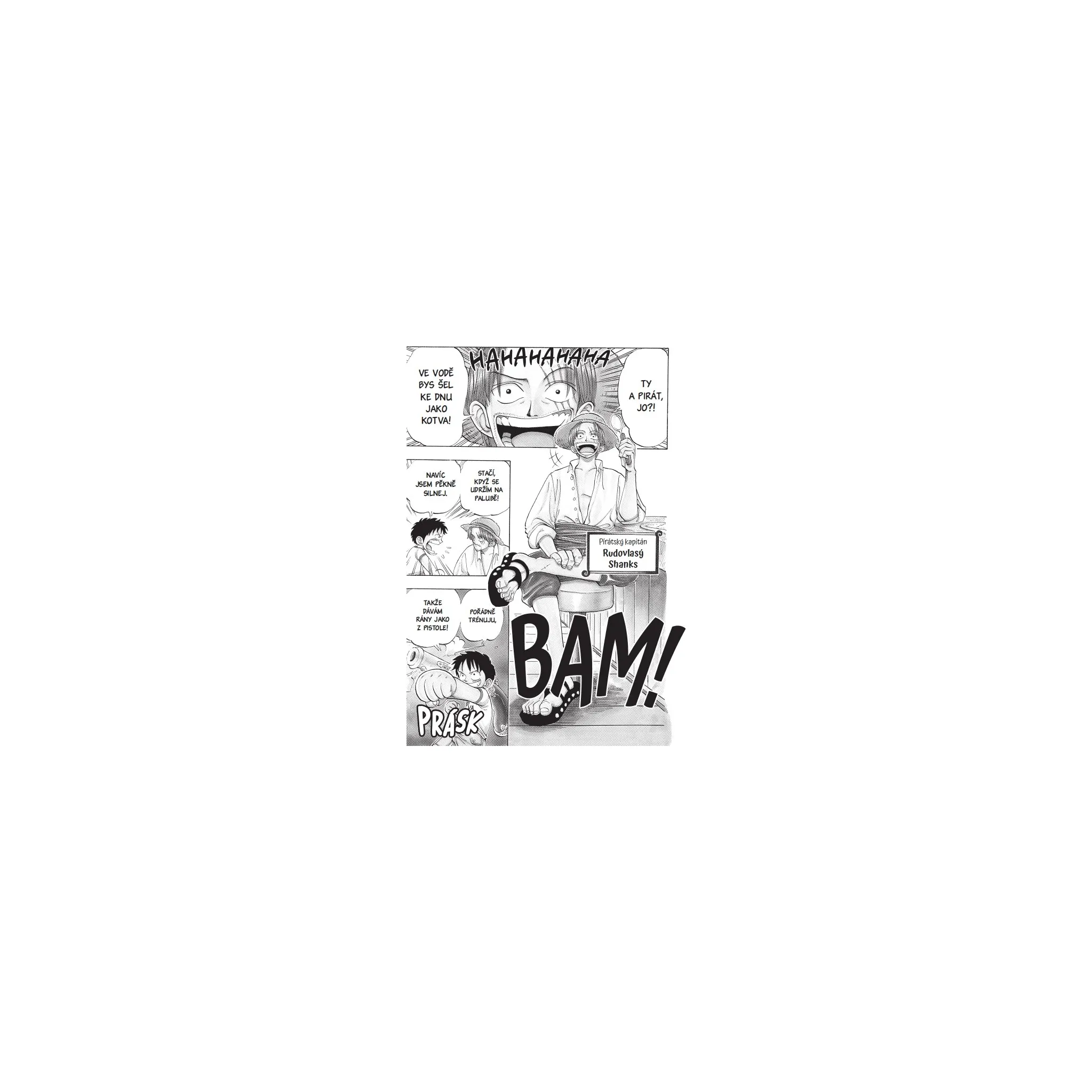 Fotografie 4 -  One Piece 1: Romance Dawn Dobrodružství začíná - Eiichiro Oda (2024, brožovaná)