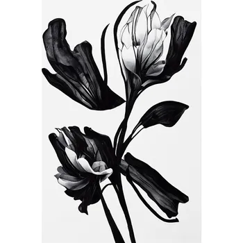 Plakát Plakát, Obraz - Black Flower, Treechild