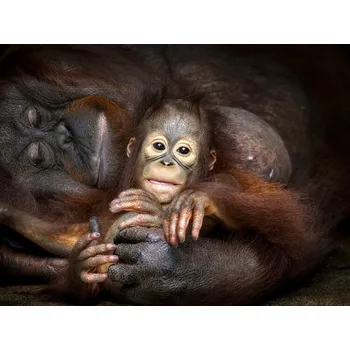 Plakát Plakát, Obraz - Lazy day with Mom, Prabu Dennaga