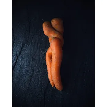 Plakát Plakát, Obraz - Organic love story, Aleksandrova Karina