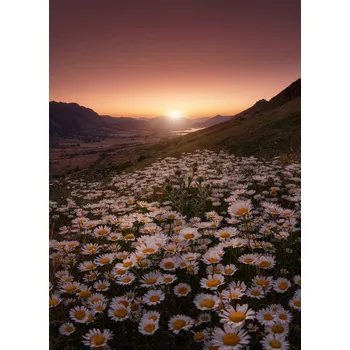 Plakát Plakát, Obraz - Closer to the sun, Sergio AbeVilla