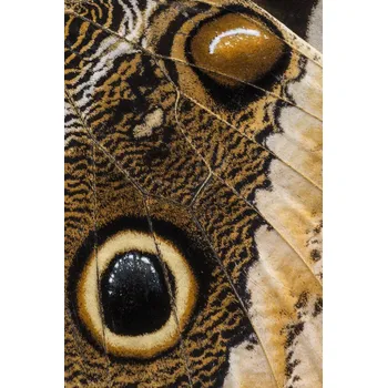 Plakát Plakát, Obraz - Natural Fabric, IngridVekemans