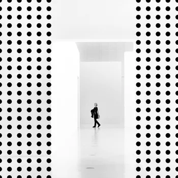 Plakát Plakát, Obraz - Wall decorations, Inge Schuster