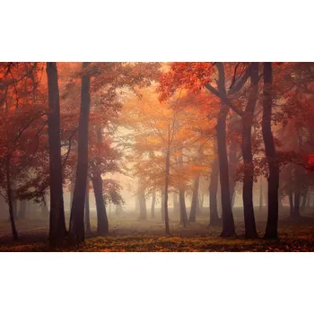 Plakát Plakát, Obraz - Feel, Ildiko Neer