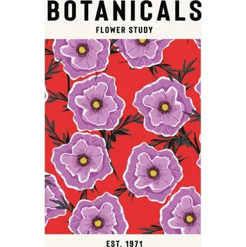 Plakát Plakát, Obraz - Botanicals Flower Study, jay stanley