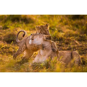 Plakát Plakát, Obraz - Charm, Mohammed Alnaser