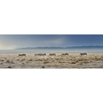 Plakát Plakát, Obraz - Promenade, Piet Flour