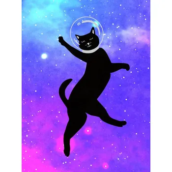 Plakát Plakát, Obraz - Happy Space Cat, Raissa Oltmanns
