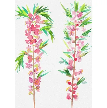 Plakát Plakát, Obraz - Dwarf Russian almond or Prunus tenella botanical painting, Kata Botanical