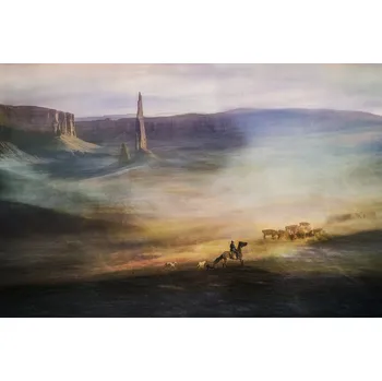 Plakát Plakát, Obraz - Migrations, Shenshen Dou