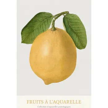 Plakát Plakát, Obraz - Lemon (Watercolour Kitchen Fruit)