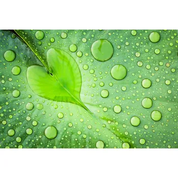 Plakát Plakát, Obraz - Heart, Patrick Foto