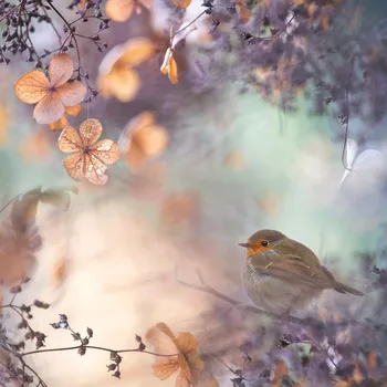 Plakát Plakát, Obraz - Hydrangea fantasy, Teuni