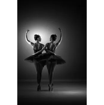 Plakát Plakát, Obraz - Pose, domenico petrocca