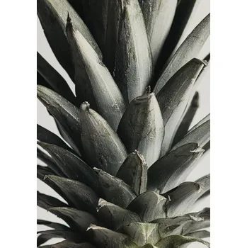 Plakát Plakát, Obraz - Pineapple close up, Studio Collection