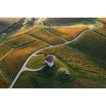 Plakát Plakát, Obraz - Golden Hill, Jure Kravanja