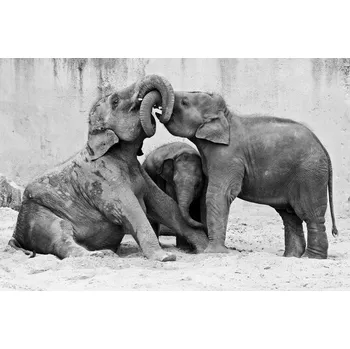 Plakát Plakát, Obraz - Ménage à trois, Antje Wenner-Braun