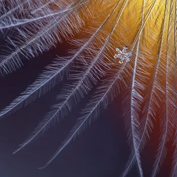 Plakát Plakát, Obraz - Ice and flame, Elena Solovieva