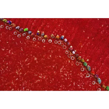 Plakát Plakát, Obraz - Picking red chilies, Azim Khan Ronnie