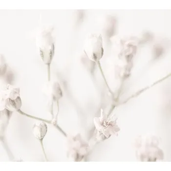 Plakát Plakát, Obraz - Pink Small Flowers, Studio Collection