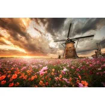 Plakát Plakát, Obraz - Magnificent flower world, Daiki Suzuki