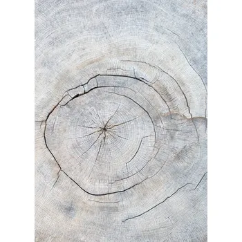 Plakát Plakát, Obraz - Pattern_wood_2, Studio Collection