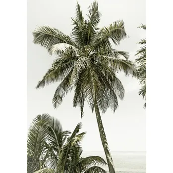 Plakát Plakát, Obraz - Palm Trees at the beach | Vintage, Melanie Viola