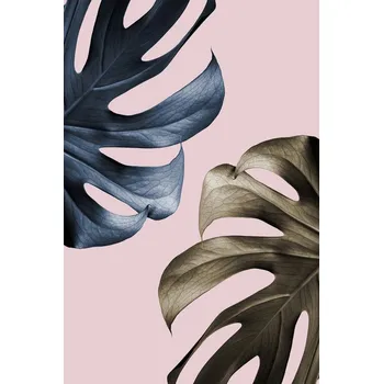 Plakát Plakát, Obraz - Monstera Pink Light 01, Studio Collection