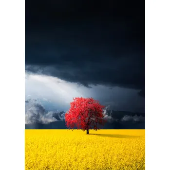 Plakát Plakát, Obraz - Red tree, Bess Hamiti
