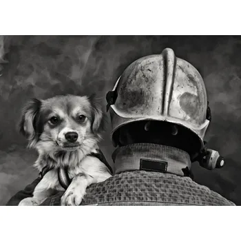 Plakát Plakát, Obraz - Dog's Best Friend., Renato J. López