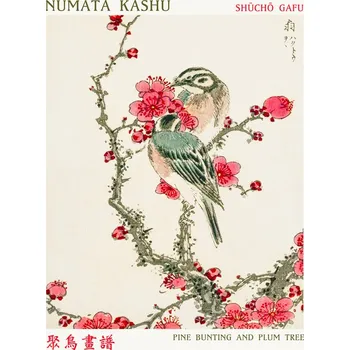 Plakát Plakát, Obraz - Pine Bunting & Plum Tree (Asian Birds) - Numata Kashu