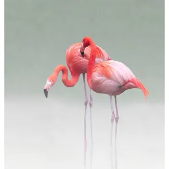 Plakát Plakát, Obraz - Just we two ..., Anna	Cseresnjes