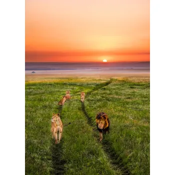 Plakát Plakát, Obraz - Family Parade, John Fan