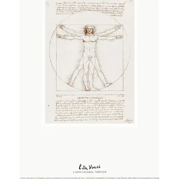 Plakát Plakát, Obraz - Vitruviánský muž