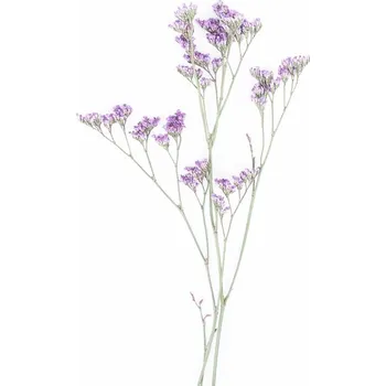 Plakát Plakát, Obraz - Little Floral, Sisi & Seb