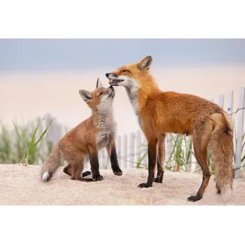 Plakát Plakát, Obraz - A Kiss, Max Wang