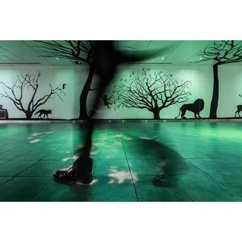 Plakát Plakát, Obraz - Translucent man, Tetsuya Hashimoto