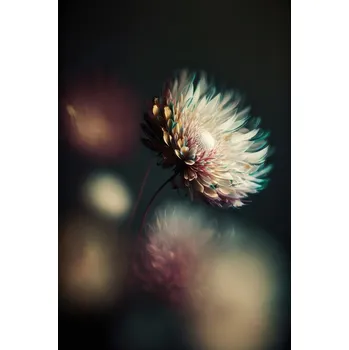 Plakát Plakát, Obraz - Night Active, Treechild