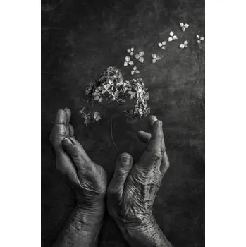 Plakát Plakát, Obraz - Tempus fugit, Stephen Clough