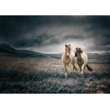 Plakát Plakát, Obraz - The brothers, Shi aamp Wei