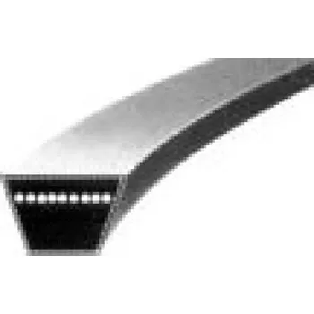 Rubena Klínový řemen X8x560 Li - 579 Lw Profi-X