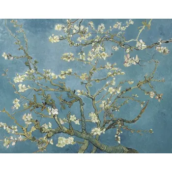 Plakát Plakát, Obraz - Květy mandloní, Vincent van Gogh